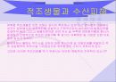 적조현상에 대해서.. 9페이지