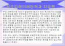 적조현상에 대해서.. 10페이지