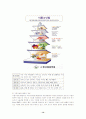 활동중심교육을 통한 초등 식생활(영양교육)교육의 방법 및 개발 13페이지