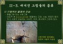 한국의 암각화 11페이지