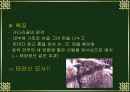 한국의 암각화 18페이지