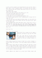 광고의 전략 16페이지