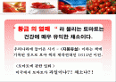 토마토에 대한 발표 2페이지