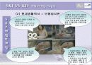 [소비자행동론] SKT와 KTF 체험마케팅 비교 분석 10페이지