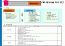 CBD 재사용율 향상방안 13페이지
