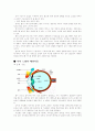 고령자와 시각 4페이지