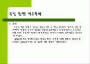 세계의 축제 11페이지
