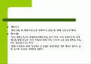 세계의 축제 12페이지