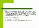 세계의 축제 14페이지