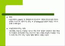 세계의 축제 17페이지
