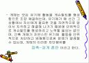 게슈탈트 심리치료에 대한 이해와 상담 지도자의 역할 및 태도와 과제 5페이지