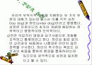 게슈탈트 심리치료에 대한 이해와 상담 지도자의 역할 및 태도와 과제 33페이지
