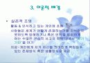[상담심리학] 형태주의 치료에 대한 모든 것 12페이지