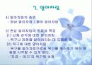 [상담심리학] 형태주의 치료에 대한 모든 것 25페이지