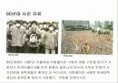 대동제의 진행과정과 실태 및 문제점과 나아갈 방향 제언 (외국대학과 다양한 비교) 12페이지