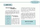 스타(유명연예인)마케팅을 통한 사업계획서 29페이지