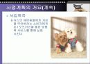 애견의복 사업계획서 9페이지