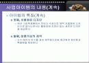 애견의복 사업계획서 13페이지