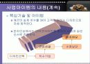 애견의복 사업계획서 14페이지