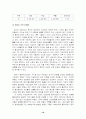 행정수도건설의 문제점과 성공전략 10페이지