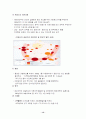 행정수도건설의 문제점과 성공전략 13페이지