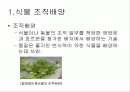 식물 생명공학 2페이지