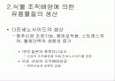 식물 생명공학 3페이지