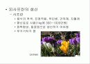 식물 생명공학 5페이지