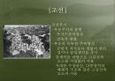 한국 도시주거의 역사와 주거관리 12페이지