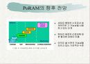 폴리머램(PoRAM)에 대하여 10페이지