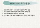 폴리머램(PoRAM)에 대하여 12페이지