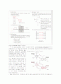 Stability of DNA and RNA 4페이지