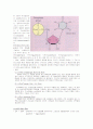 Stability of DNA and RNA 6페이지