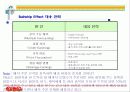Market Dynamics & Information Distortion 6페이지