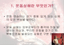 운동상해 2페이지