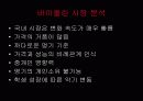[마케팅] 바이올린 악기시장 분석 - Shimro Violin 3페이지