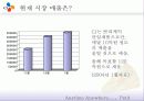 [마케팅] CJ 쁘띠케익 분석 4페이지
