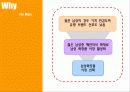 [마케팅] SKIN FOOD 일본 진출 방안 5페이지