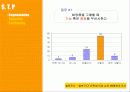 [마케팅] SKIN FOOD 일본 진출 방안 8페이지