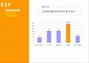 [마케팅] SKIN FOOD 일본 진출 방안 10페이지