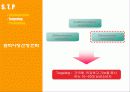 [마케팅] SKIN FOOD 일본 진출 방안 12페이지