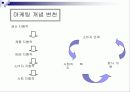 [마케팅] 삼성생명의 SWOT분석과 새로운 마케팅 전략 29페이지