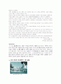 신문기사를 통해 본 중국 교육의 현상 분석 7페이지