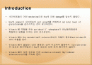 vitamin b6가 세포사멸에 미치는 영향 2페이지
