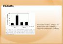 vitamin b6가 세포사멸에 미치는 영향 9페이지