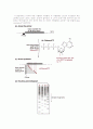 DNA sequencing 원리 종류 역사 5페이지