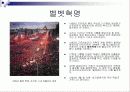 체코[Czech Republic] 10페이지
