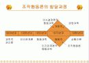 행동과학과 청소년 조직행동론 10페이지