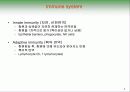 아토피 피부염 (면역학적 관점) 4페이지