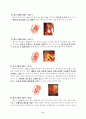 태내기 및 신생아기 태내발달 7페이지